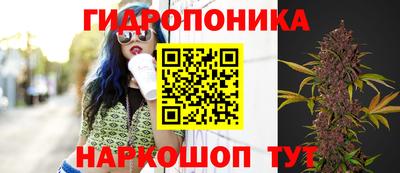 бошки Жуковский