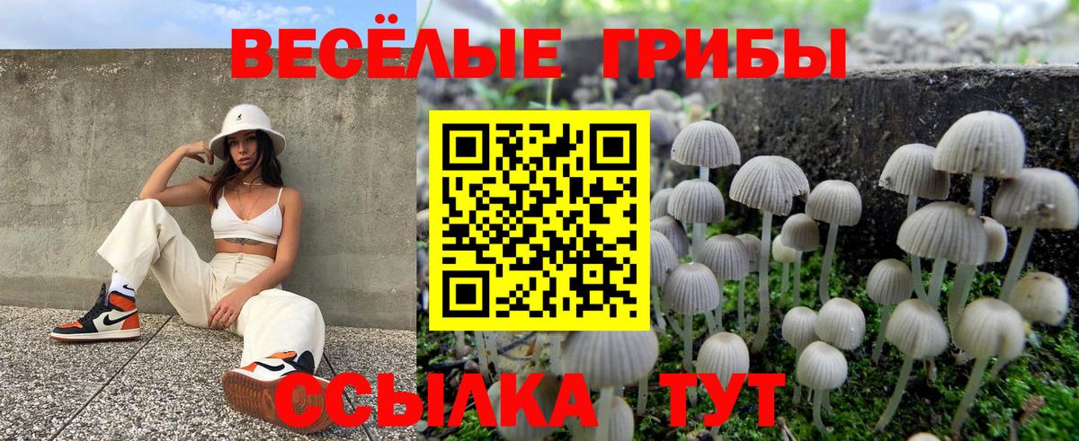 Новокузнецк  купить наркоту  Вход с VPN  Псилоцибиновые грибы Psilocybine cubensis 