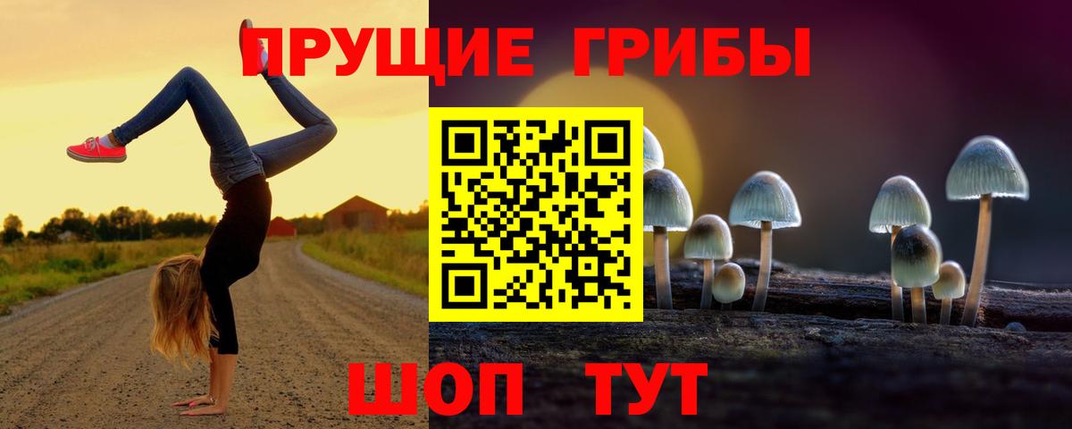 Галлюциногенные грибы ЛСД Новокузнецк